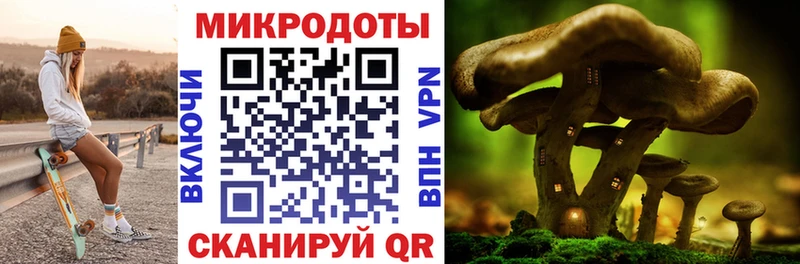 Псилоцибиновые грибы MAGIC MUSHROOMS  дарнет шоп  Шатура 