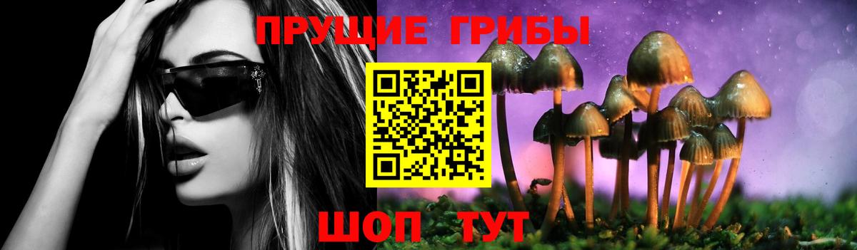 Псилоцибиновые грибы прущие грибы Шатура