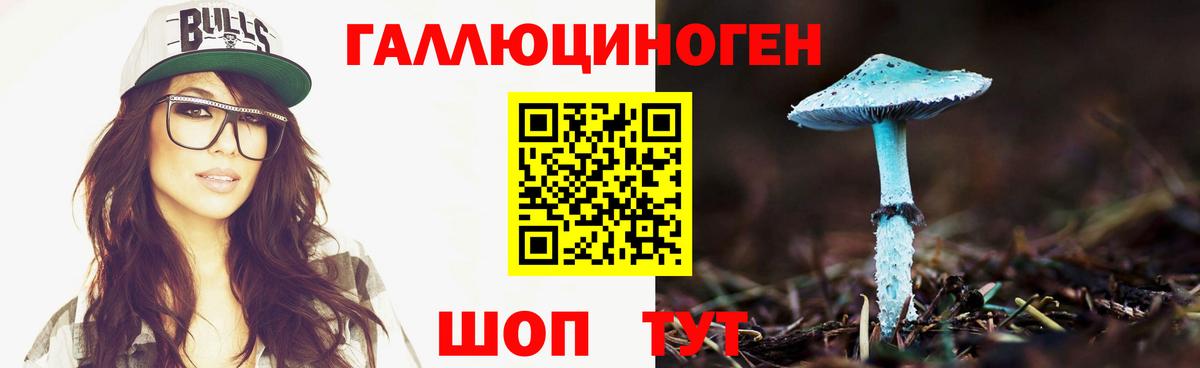Шатура  закладка  Вход с VPN  Псилоцибиновые грибы прущие грибы 